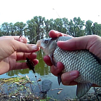 Рыбалка на озере  санатория "Колос"